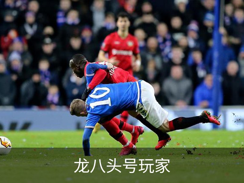 龙八头号玩家介绍